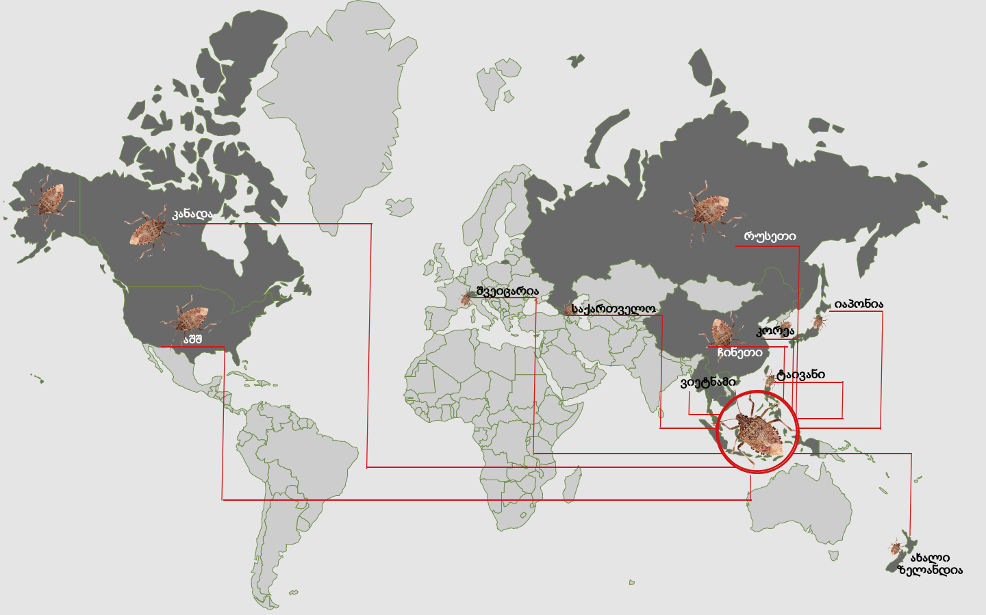 inline images new piktochart 29331073 | mythdetector.com "