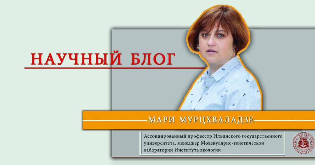 სფდ