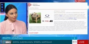 mithebis deteqtori tv pirvelis g 6 მითების დეტექტორი TV პირველის გადაცემაში "საქმიანი დილა"; 26.12.2016