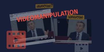 bidzinaa Who did Ivanishvili refer to as “dimwits”?