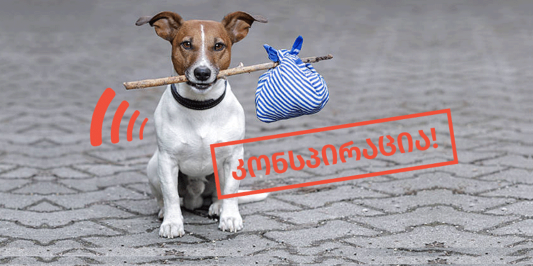 konspiratsia 7 ფაქტების გადამოწმების მონაცემთა ბაზა