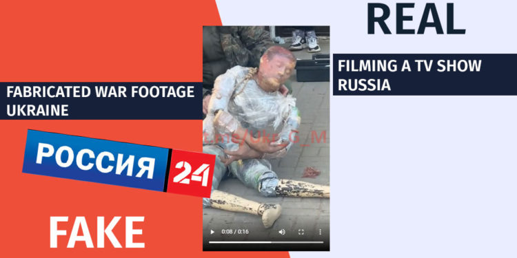 kalbi56 Factchecker DB