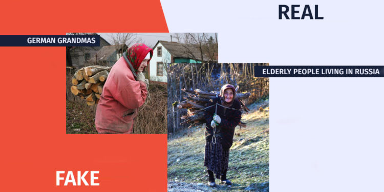 German or Russian Granny Who Collects Wood for the Cold Winter Factchecker DB