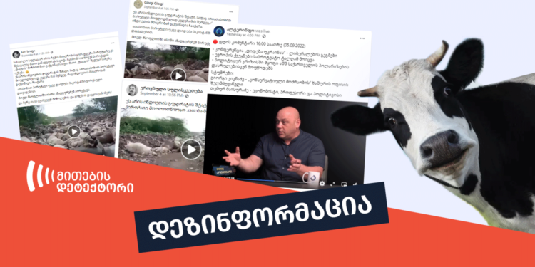 dezinphormatsia 5 ფაქტების გადამოწმების მონაცემთა ბაზა