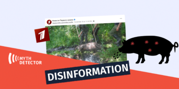 dezinphormatsia ghori eng Disinformation of Russian ‘Channel One’ About the Spread of African Swine Fever in Georgia