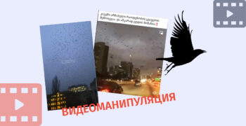 videomanipulatsia qhvavebi Мифы