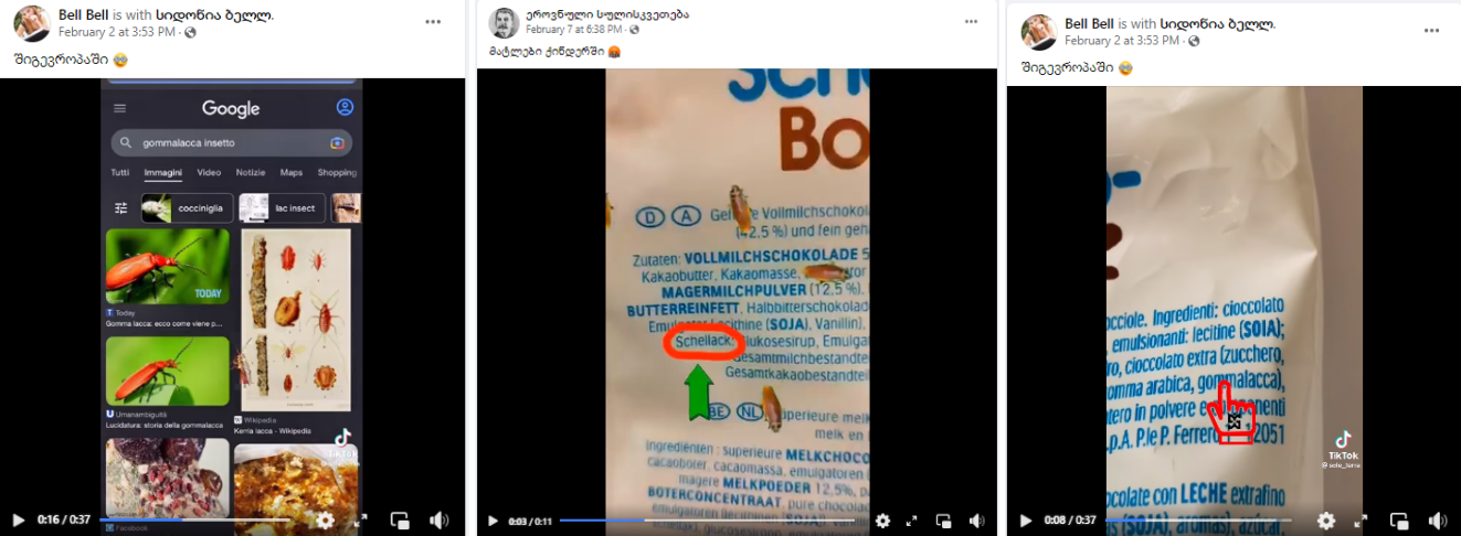 matqhli 1 Has the EU Permitted the Use of insects in Food and What Do We Know about Their Safety?