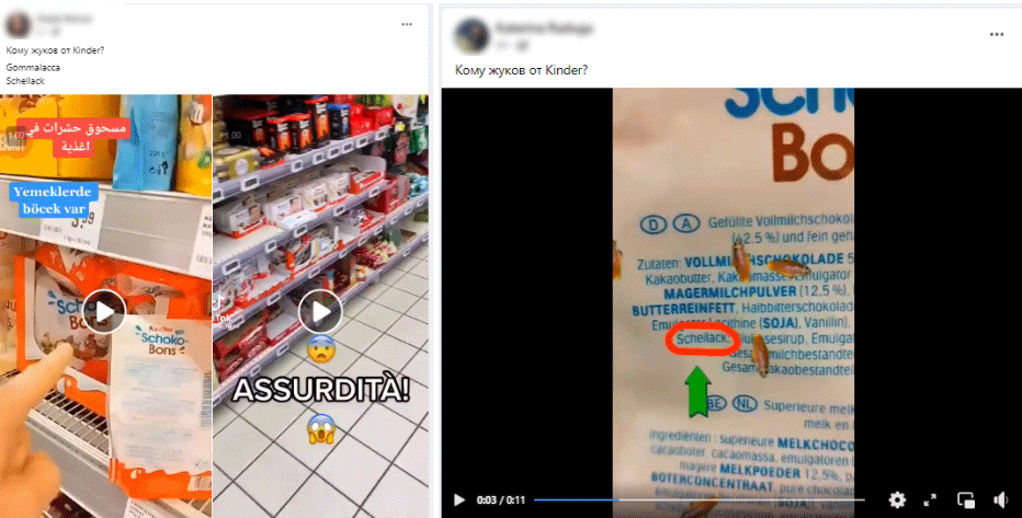matqhli 21 1 Has the EU Permitted the Use of insects in Food and What Do We Know about Their Safety?