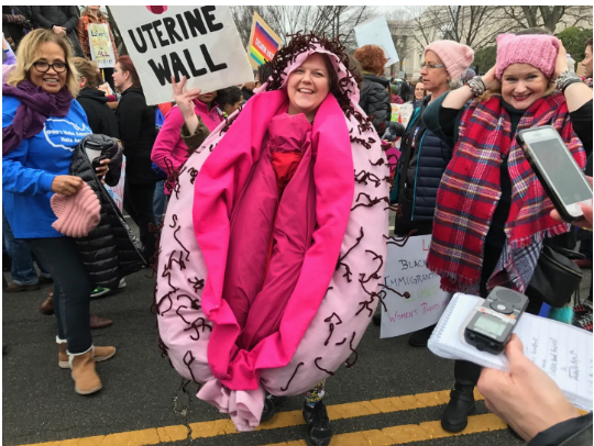 Fabricated Photo Falsely Depicts Women in Vagina Costumes Protesting for New Elections ქალები
