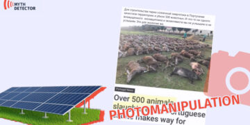 Animals
