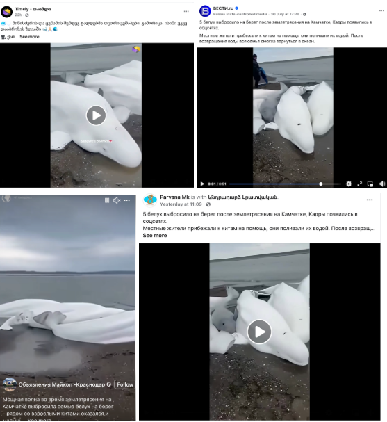 კამჩატკა