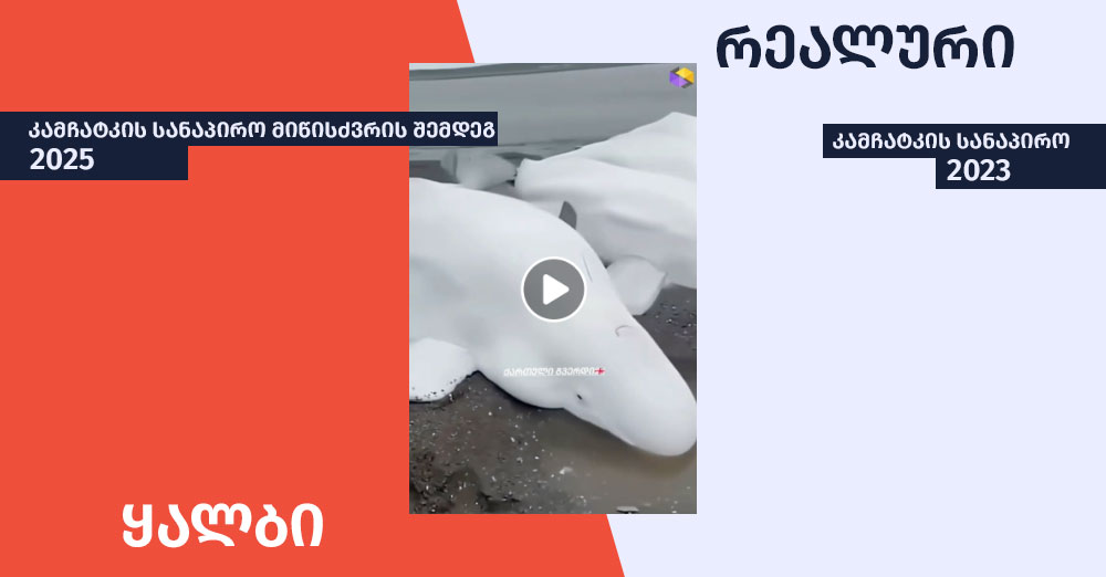 კამჩატკა
