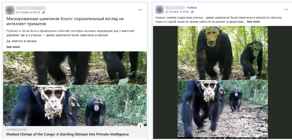 шимпанзе в масках