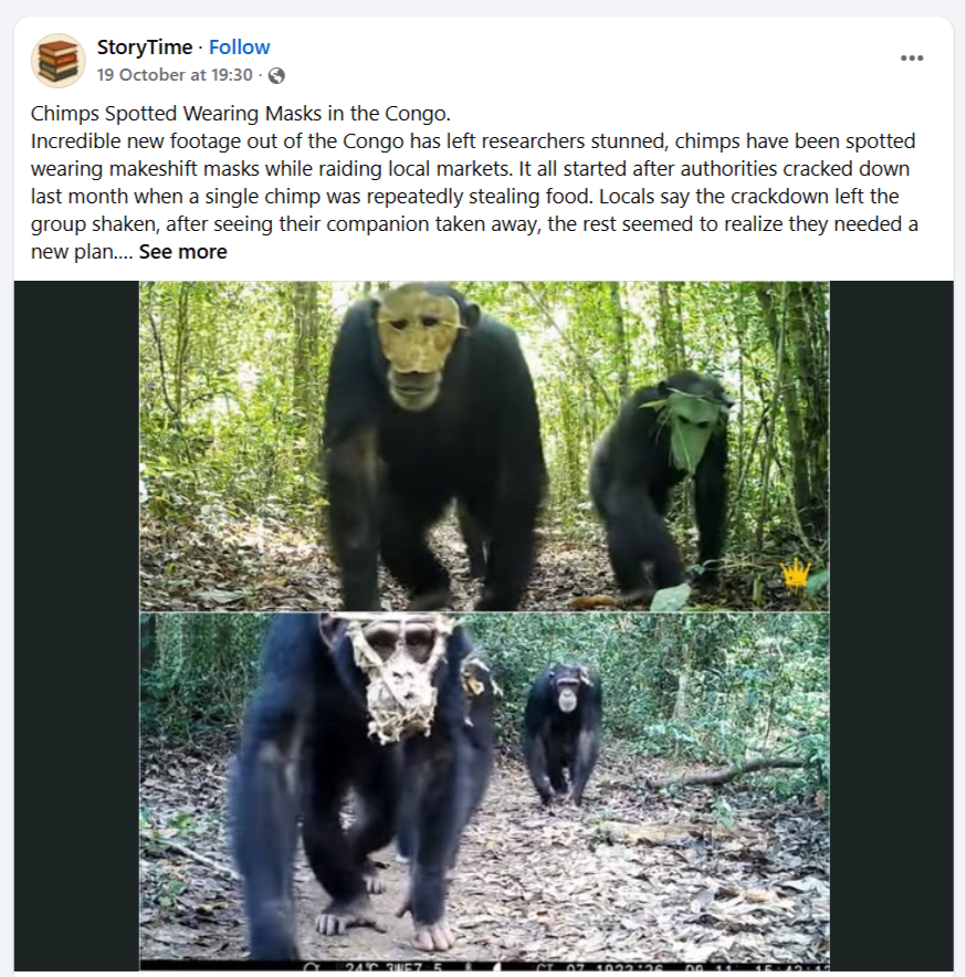 шимпанзе в масках
