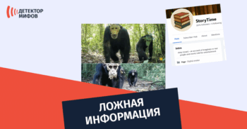 шимпанзе в масках