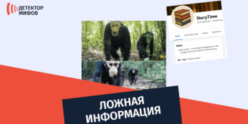 шимпанзе в масках