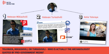 Pro-Government Media