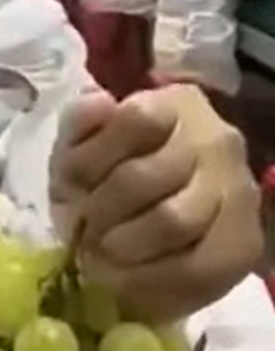 AI ith generirebulia video thithqos chinethis satsarmoshi qhurdzens khelovnurad zrdian 1 1 | mythdetector.com виноград