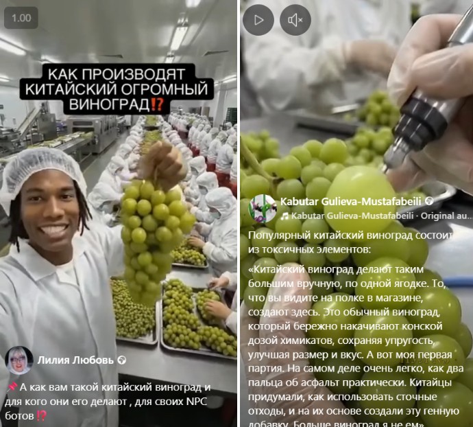 Video sgenerirovannoe II budto na predpriyatii v Kitae iskusstvenno uvelichivayut vinograd | mythdetector.com виноград
